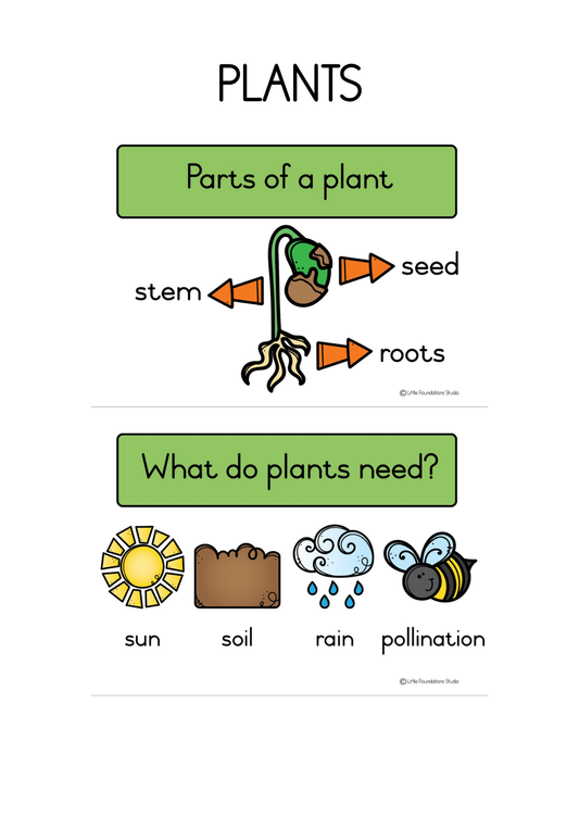 Plants